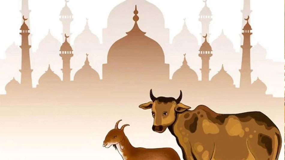 ঈদুল আজহা কবে, ২৭ নাকি ২৮ মে নিয়ে জোর আলোচনা