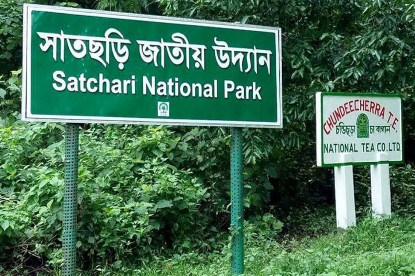 সাতছড়ির বন উজাড় : জাতীয় সম্পদ রক্ষায় কঠোরতা কাম্য