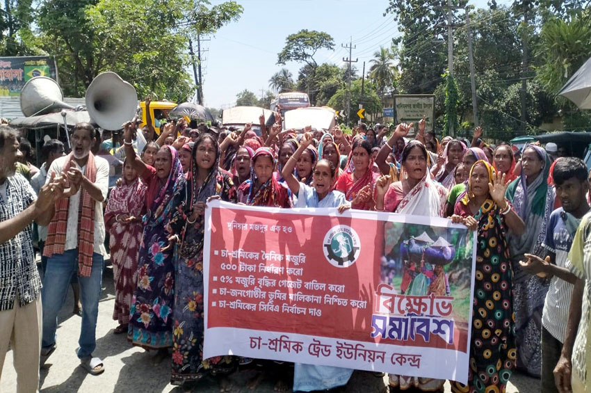 মজুরি বৃদ্ধির দাবিতে সিলেটে চা-শ্রমিকদের সড়ক অবরোধ