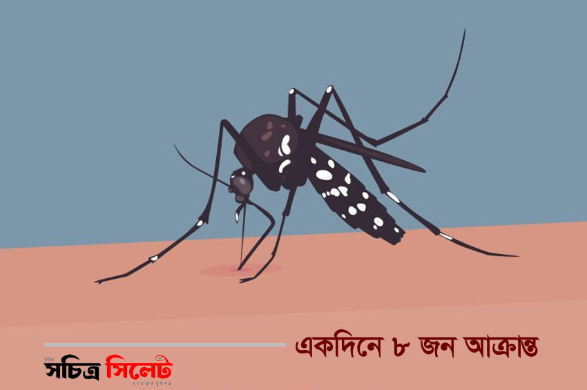 ফের ডেঙ্গুতে মৃত্যু দেখলো সিলেট